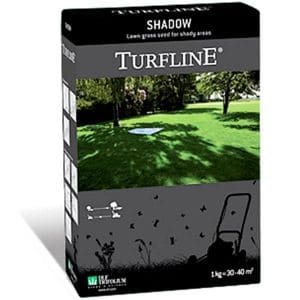 Shadow1