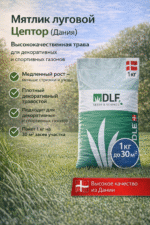 Мятлик луговой Цептор (Дания), 1 кг — изображение 3