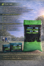 Газонная трава Sport (20 кг) — изображение 4