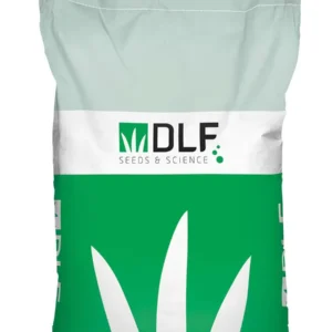 Райграс пастбищный Матильде (Дания), 1 кг