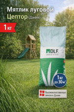 Мятлик луговой Цептор (Дания), 1 кг — изображение 2