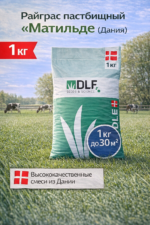 Райграс пастбищный Матильде (Дания), 1 кг — изображение 2