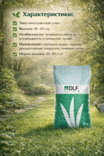 Мятлик обыкновенный — изображение 4