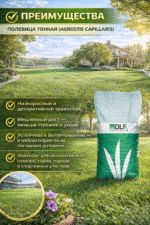 Полевица тонкая — изображение 3