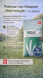 Райграс пастбищный Матильде (Дания), 1 кг — изображение 3