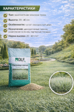 Овсяница овечья — изображение 3