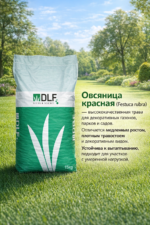 Овсяница красная — изображение 2