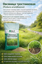 Овсяница тростниковая "КОРА" - 1 кг — изображение 2