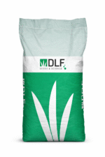 Полевица побегоносная