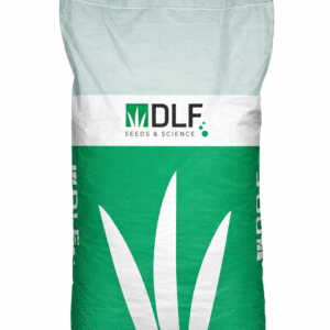 Полевица побегоносная