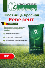 Овсяница красная Реверент (Германия), 1кг — изображение 2