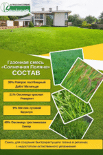 Смесь семян газонных трав СОЛНЕЧНАЯ ПОЛЯНА упаковка 1кг — изображение 3