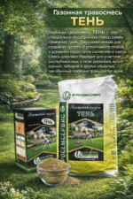 Смесь семян газонных трав ТЕНЬ - 10 кг — изображение 2