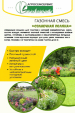 Смесь семян газонных трав СОЛНЕЧНАЯ ПОЛЯНА упаковка 1кг — изображение 2