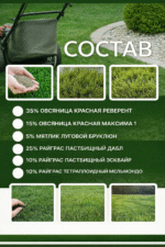 Оазис Универсальный газон упаковка 1 кг — изображение 4