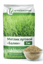 Мятлик луговой "Балин", 1кг — изображение 2