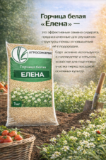 Горчица белая "Елена" - 1 кг — изображение 2