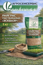 Райграс пастбищный "ЭСКВАЭР",  1кг — изображение 2