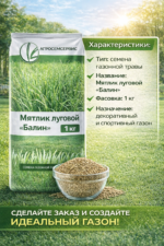 Мятлик луговой "Балин", 1кг — изображение 4