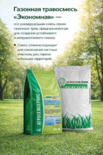 Газонная травосмесь "ЭКОНОМНАЯ" - 10 кг — изображение 2