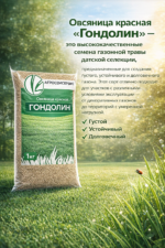 Овсяница красная "ГОНДОЛИН" - 1 кг — изображение 2