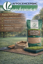 Райграс пастбищный "ЭСКВАЭР",  1кг — изображение 4