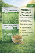 Мятлик луговой "Балин", 1кг — изображение 3