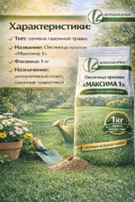 Овсяница красная "МАКСИМА 1", 1 кг — изображение 4
