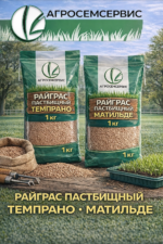 Райграс пастбищный "ТЕМПРАНО", "МАТИЛЬДЕ" ,1 кг — изображение 2