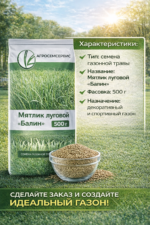 Мятлик луговой "Балин", 500г — изображение 3
