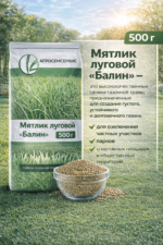 Мятлик луговой "Балин", 500г — изображение 4