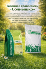 Газонная травосмесь "СОЛНЫШКО" - 1кг — изображение 2