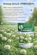 Клевер белый "РИВЕНДЕЛ", 500г — изображение 3