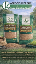 Райграс пастбищный "ТЕМПРАНО", "МАТИЛЬДЕ" ,1 кг — изображение 3