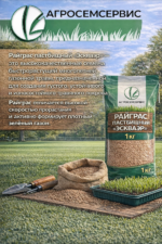Райграс пастбищный "ЭСКВАЭР",  1кг — изображение 3