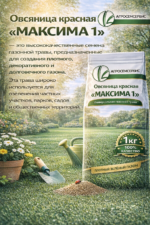 Овсяница красная "МАКСИМА 1", 1 кг — изображение 3