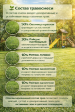 Газонная травосмесь "МАЛЫШ" - 10 кг — изображение 3