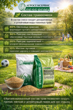 Газонная травосмесь "ПИКНИК" - 10 кг — изображение 5