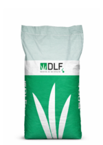 Овсяница тростниковая "КОРА" - 1 кг